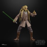 Star Wars Black Series KIt Fisto Action Figure