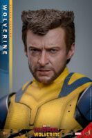 Hot Toys MMS574 Deadpool and Wolverine Deluxe Wolverine 1/6 Scale Figure