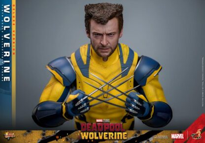 Hot Toys MMS574 Deadpool and Wolverine Deluxe Wolverine 1/6 Scale Figure